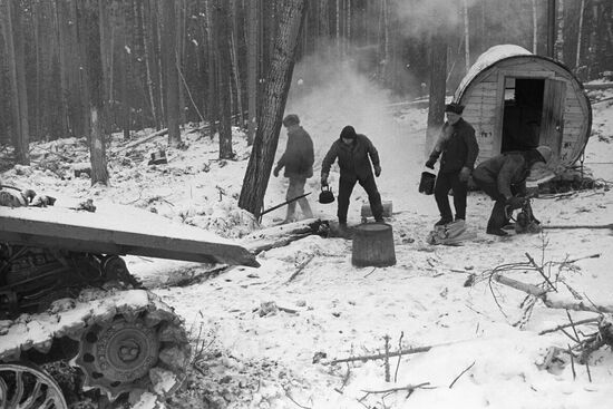Timber harvesting in Buryatia