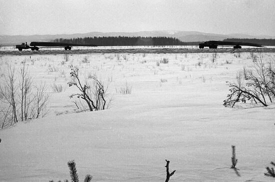 Timber harvesting in Buryatia