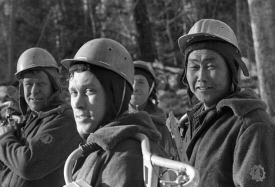 Timber harvesting in Buryatia