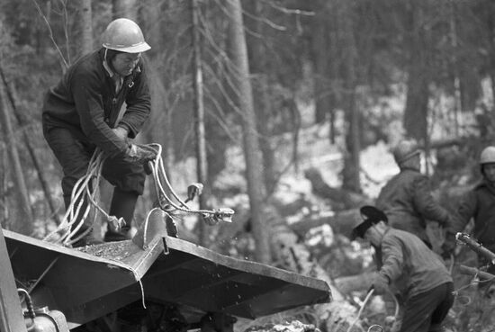 Timber harvesting in Buryatia