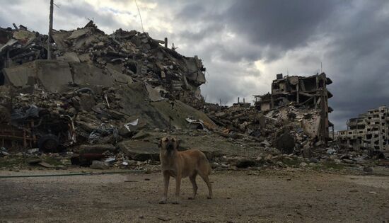 Destruction in Homs, Syria