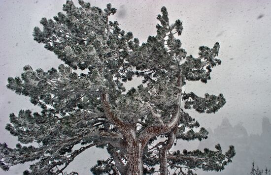 Winter in Crimea