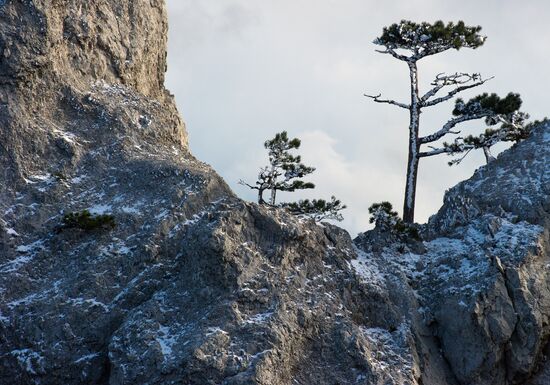 Winter in Crimea