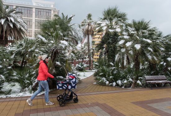 Winter in Sochi