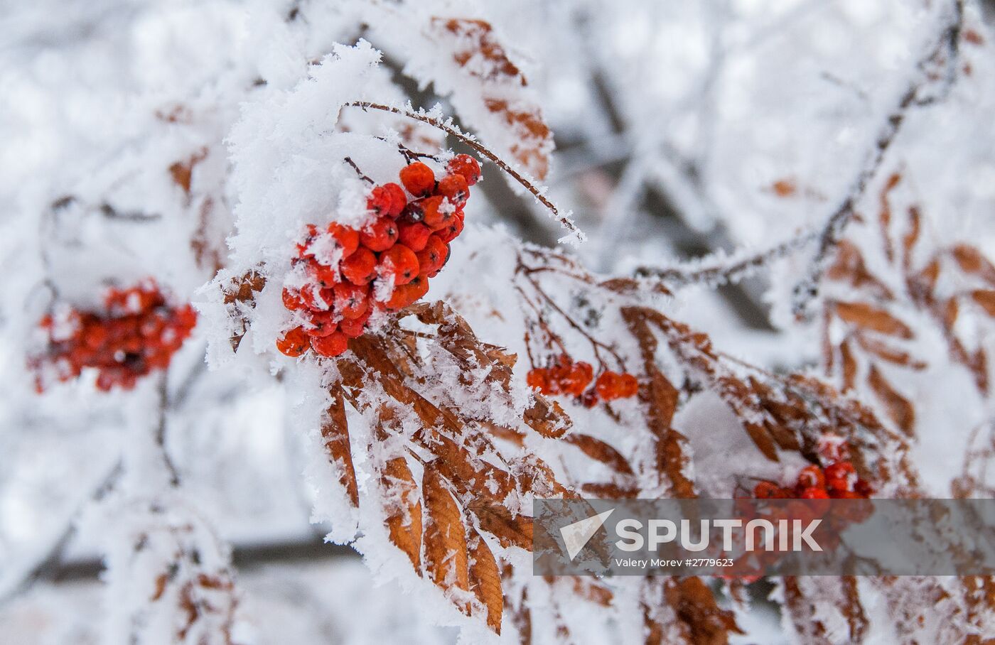 Winter in Belgorod