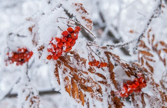 Winter in Belgorod