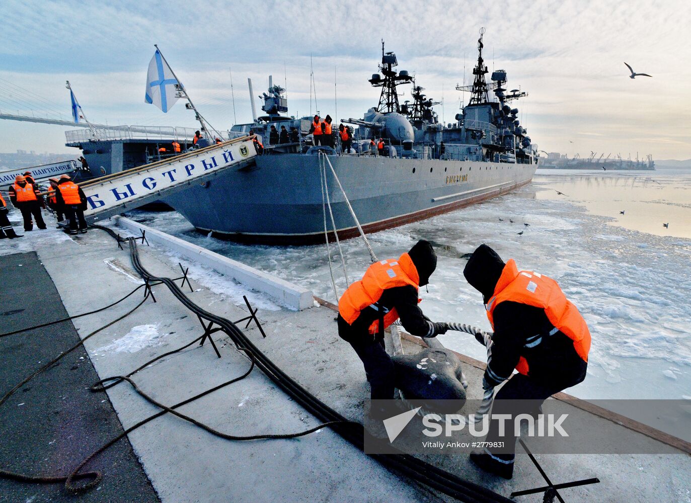 Welcome ceremony for Pacific Fleet's ships in Vladivostok