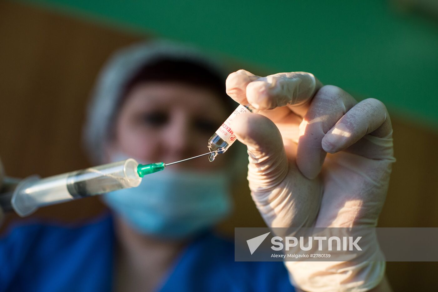 Seasonal flu and respiratory viral infection in Russia