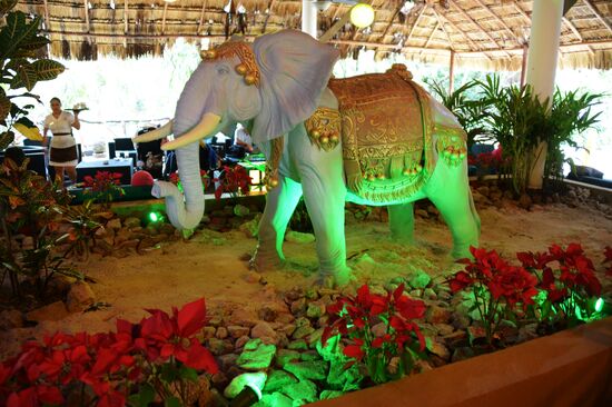 Sandos Caracol Eco Resort & Spa hotel in Mexico
