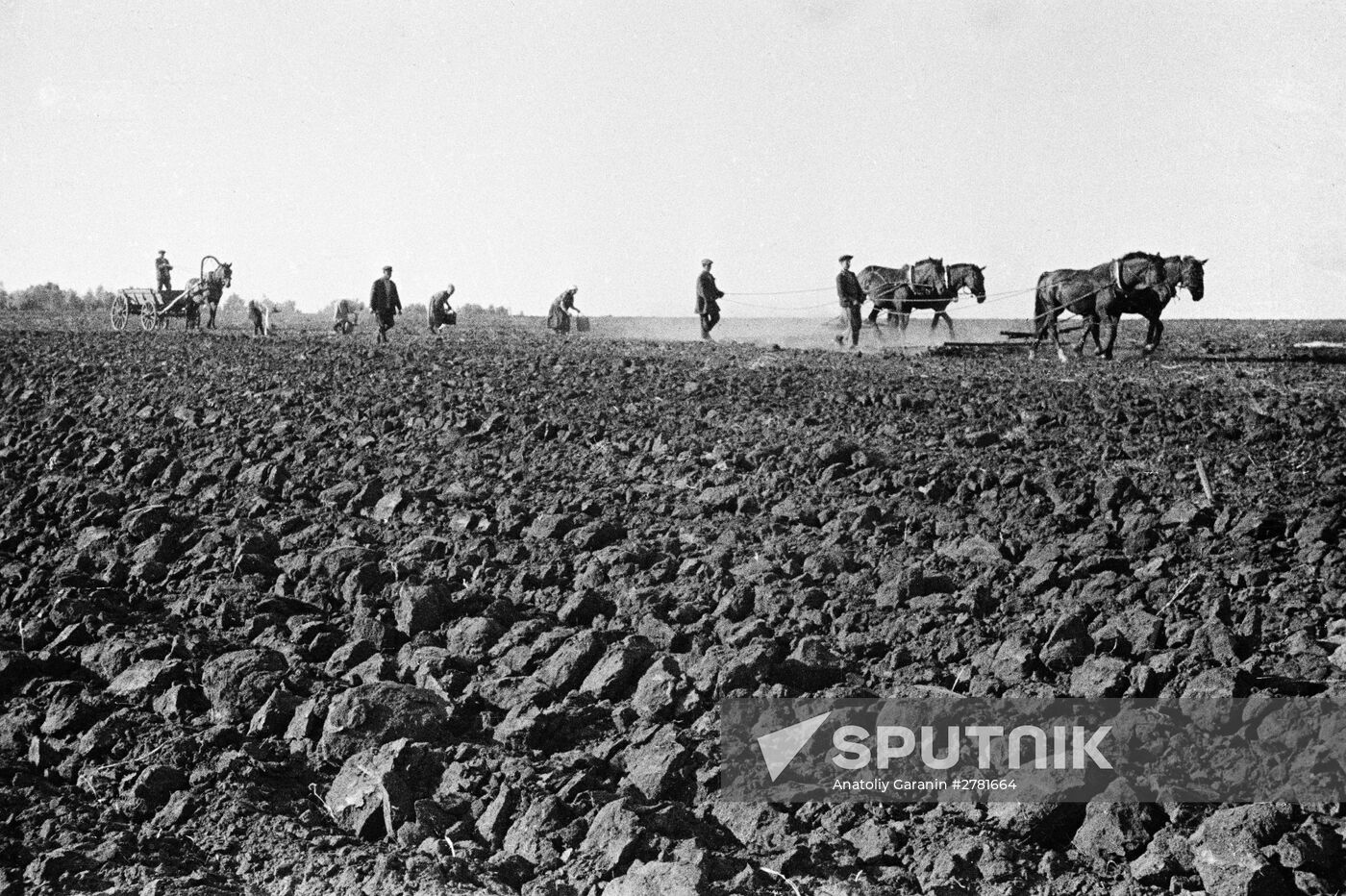 Sowing