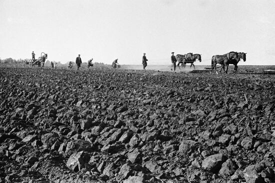 Sowing