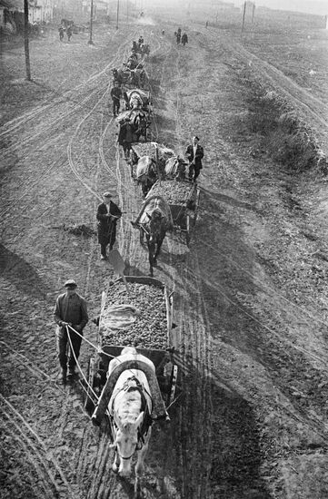 Harvesting potatoes