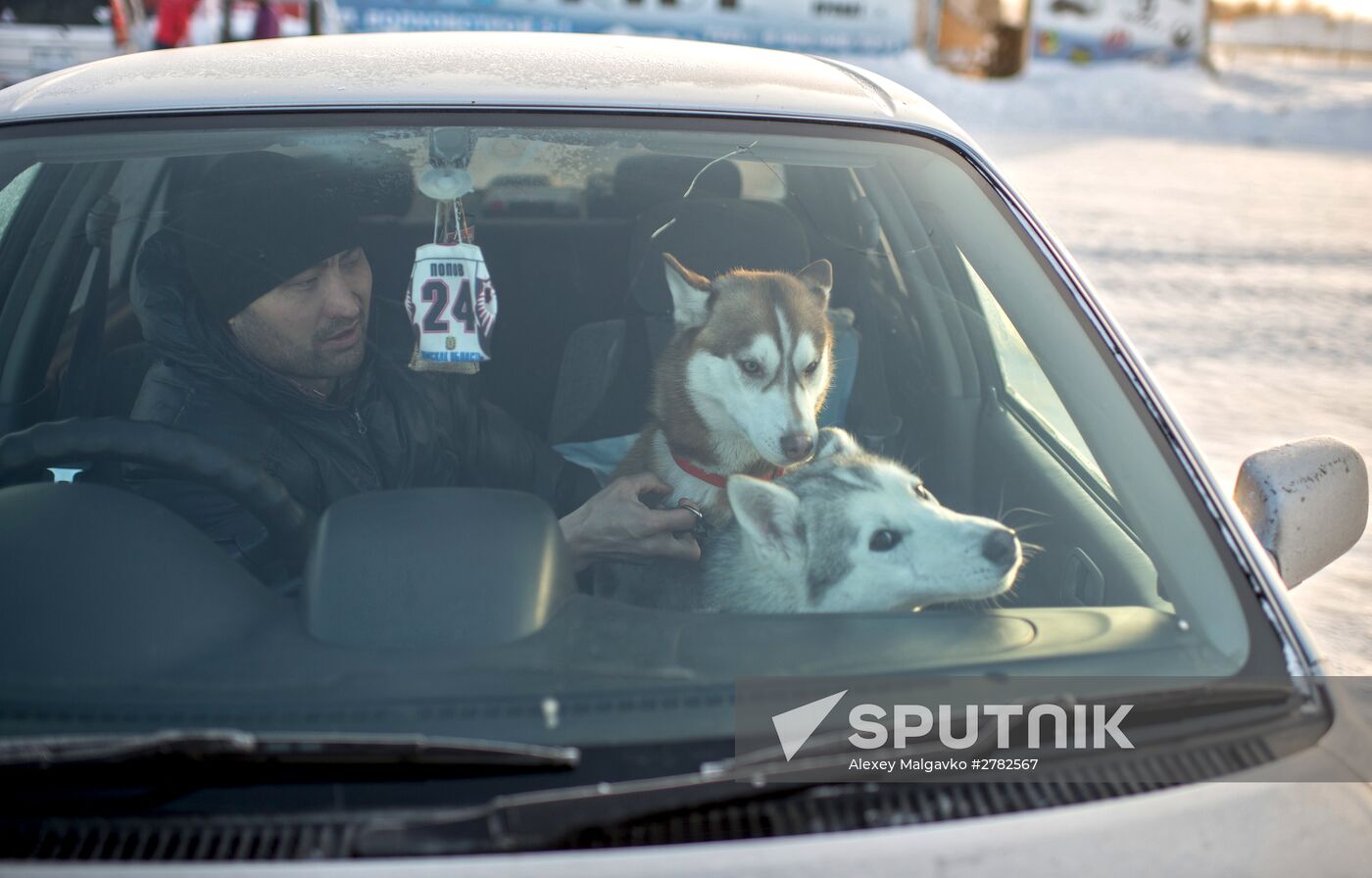 Omsk Region Open Sleddog Sports Championships