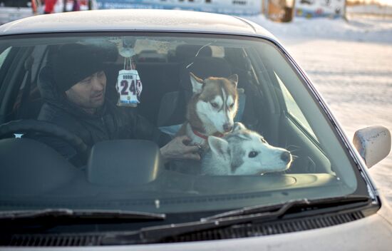 Omsk Region Open Sleddog Sports Championships