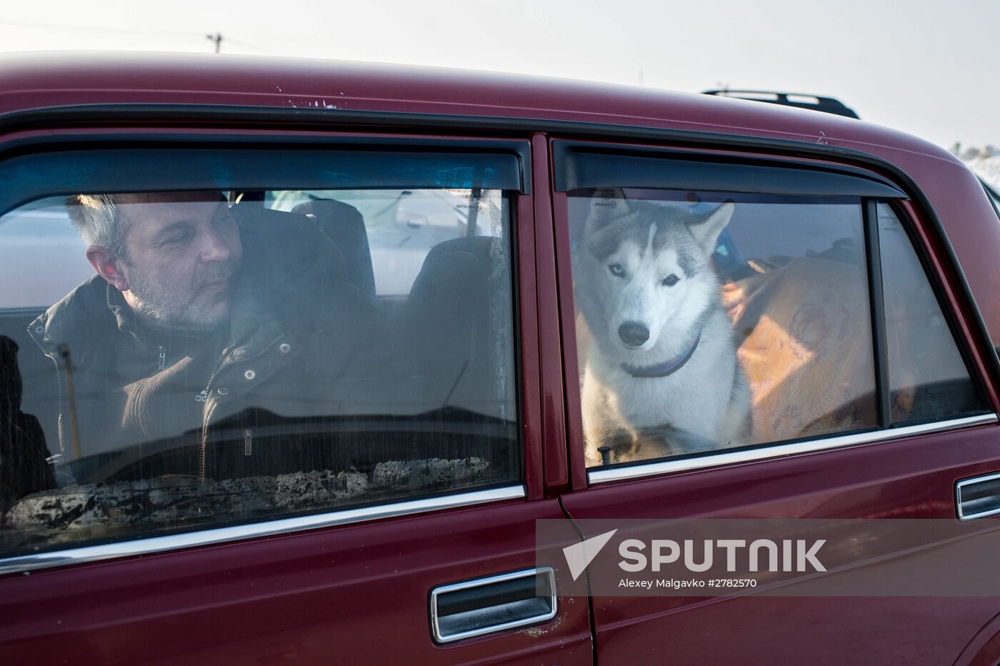 Omsk Region Open Sleddog Sports Championships