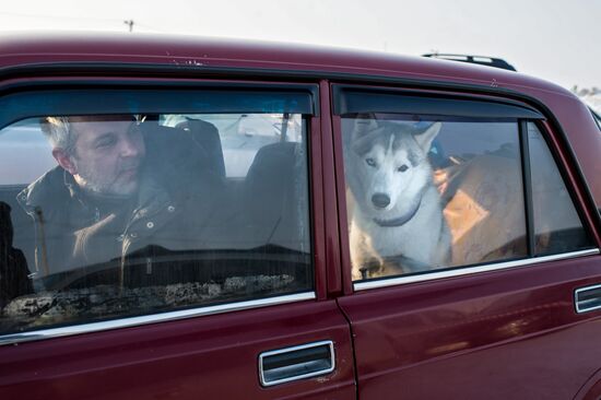 Omsk Region Open Sleddog Sports Championships