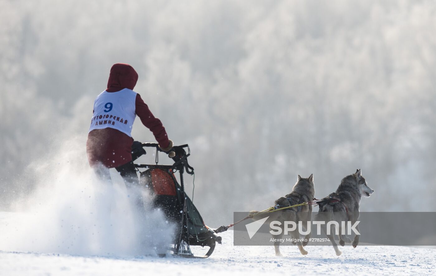 Omsk Region Open Sleddog Sports Championships