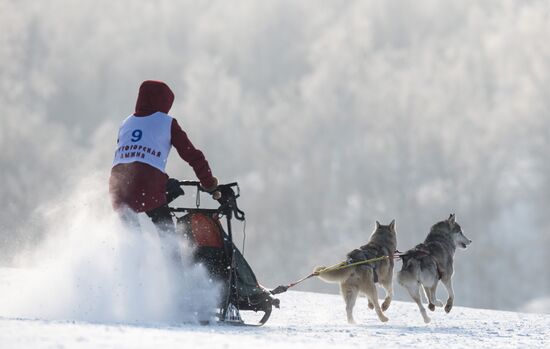 Omsk Region Open Sleddog Sports Championships