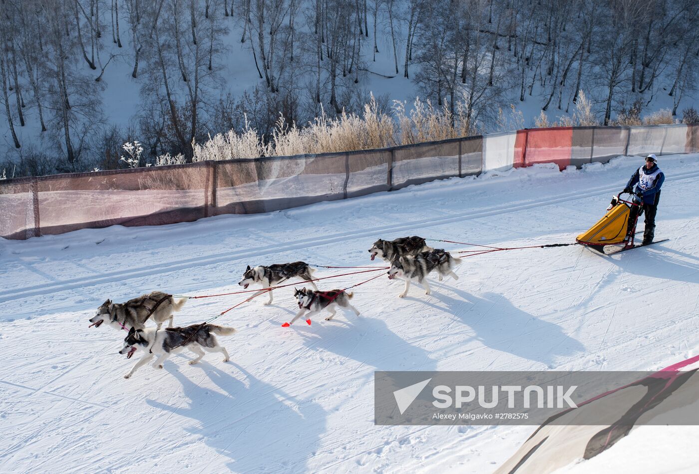 Omsk Region Open Sleddog Sports Championships