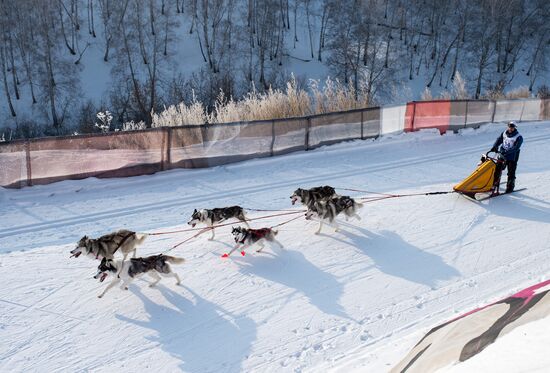 Omsk Region Open Sleddog Sports Championships