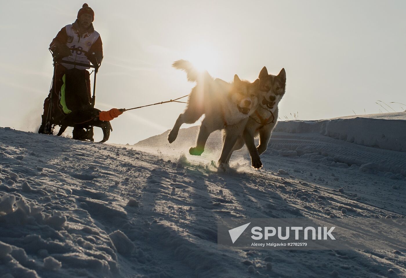 Omsk Region Open Sleddog Sports Championships