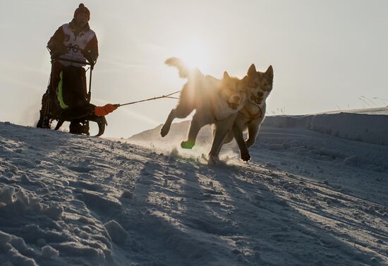 Omsk Region Open Sleddog Sports Championships