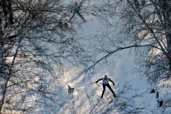 Omsk Region Open Sleddog Sports Championships