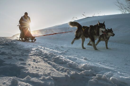 Omsk Region Open Sleddog Sports Championships