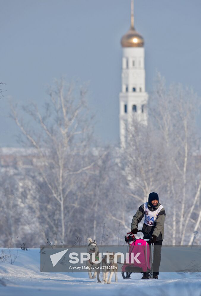 Omsk Region Open Sleddog Sports Championships