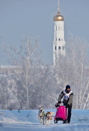 Omsk Region Open Sleddog Sports Championships