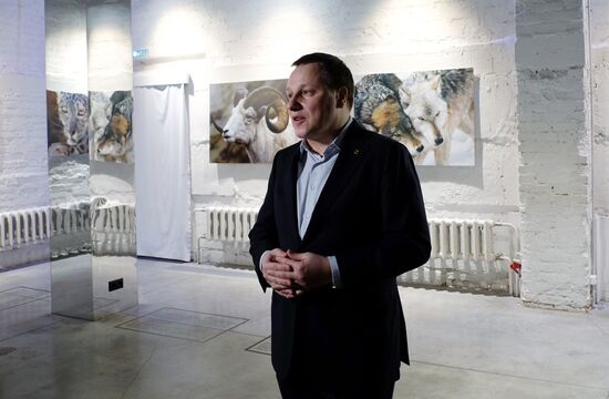 Wild Perspective exhibition unveiled