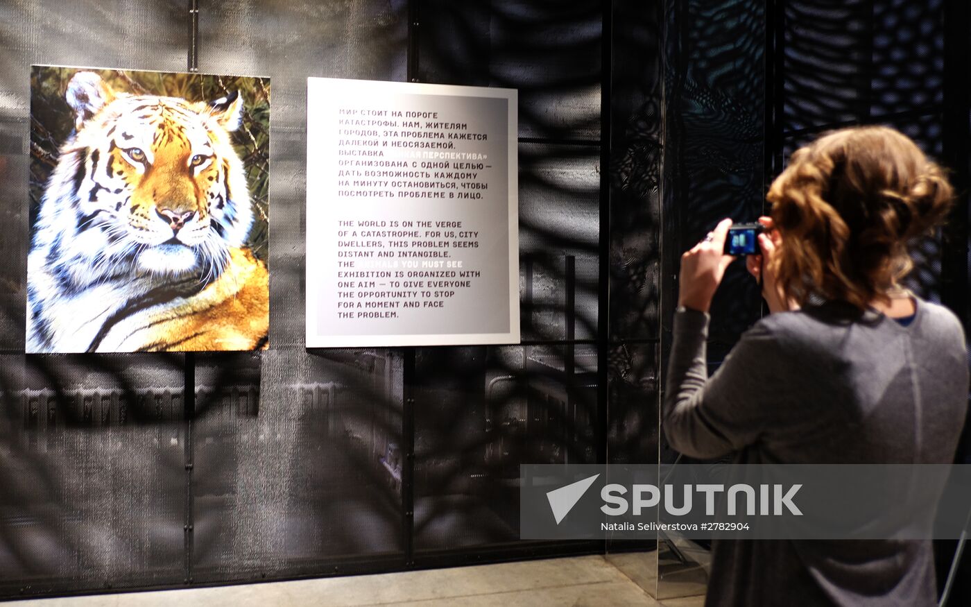 Wild Perspective exhibition unveiled