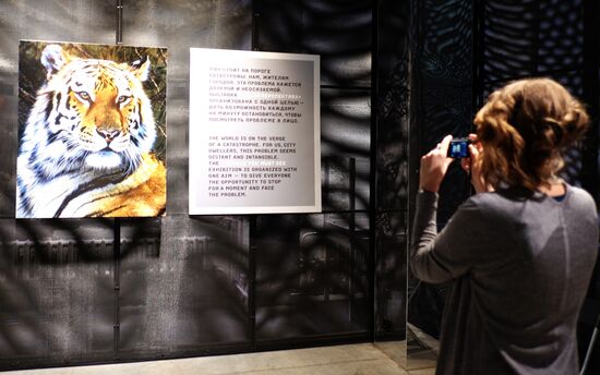 Wild Perspective exhibition unveiled