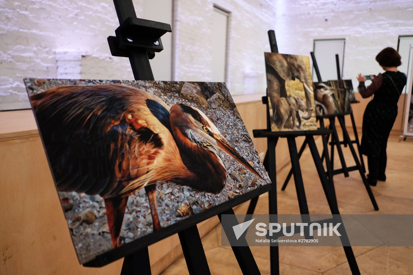 Wild Perspective exhibition unveiled