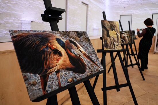 Wild Perspective exhibition unveiled