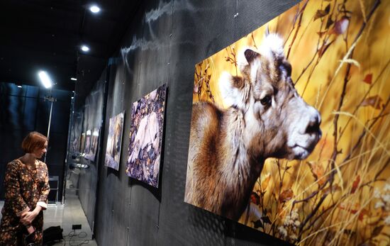 Wild Perspective exhibition unveiled