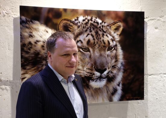 Wild Perspective exhibition unveiled