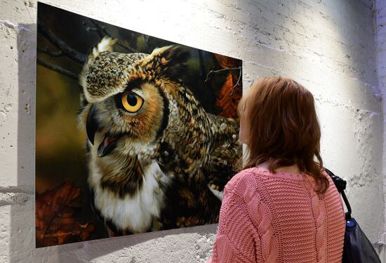 Wild Perspective exhibition unveiled