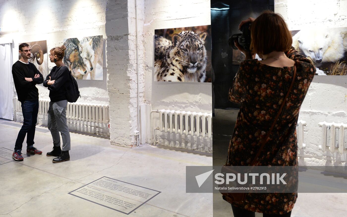 Wild Perspective exhibition unveiled