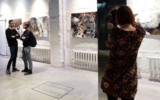 Wild Perspective exhibition unveiled