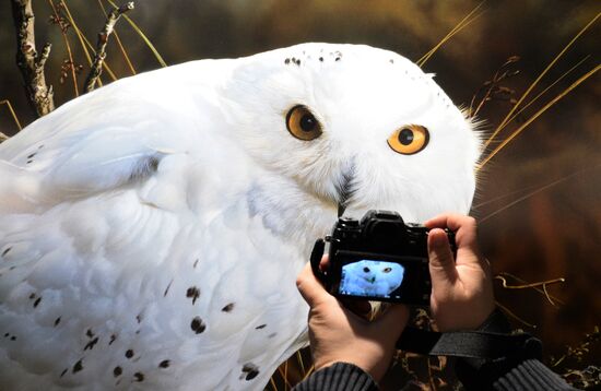 Wild Perspective exhibition unveiled
