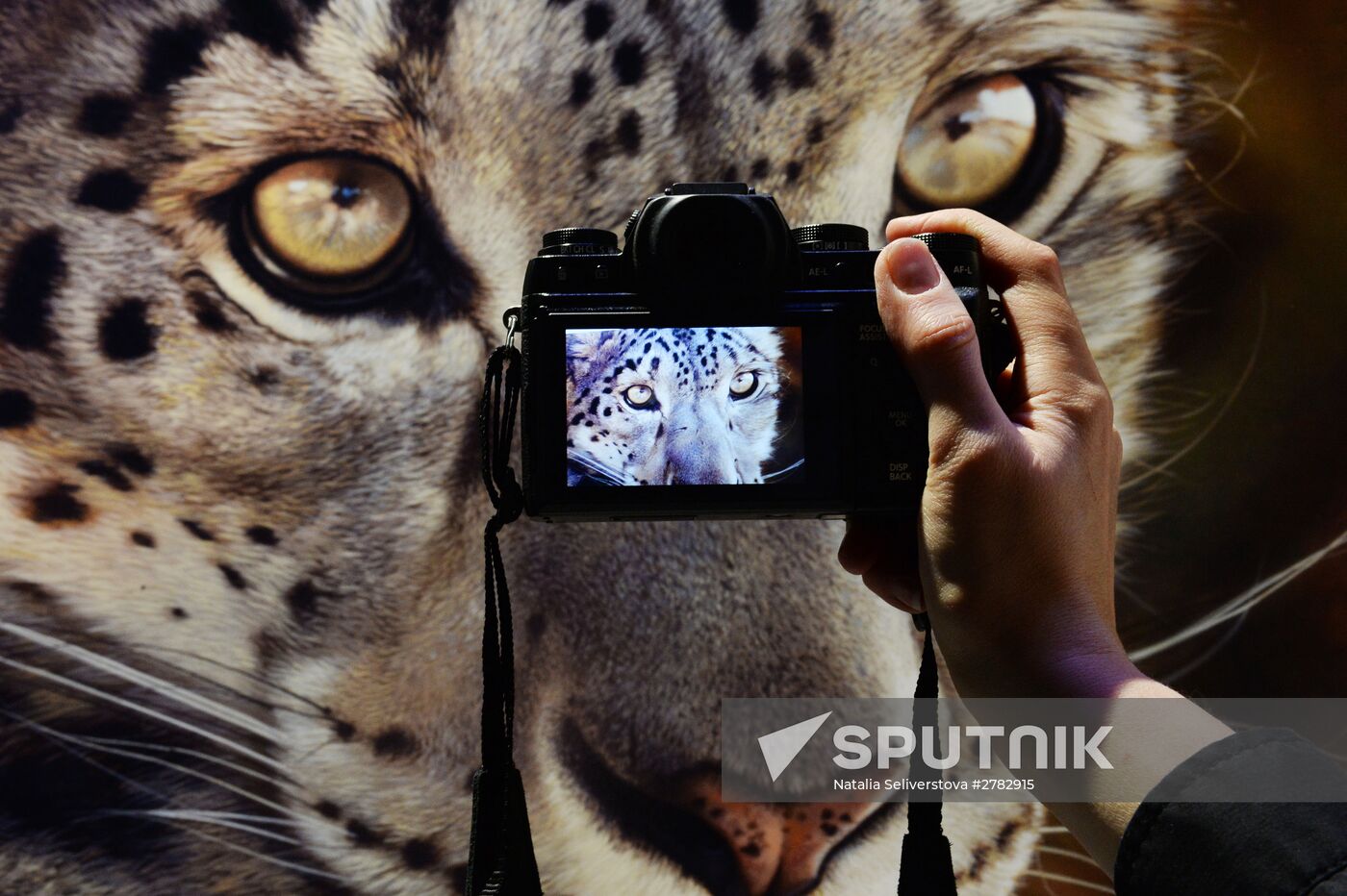 Wild Perspective exhibition unveiled