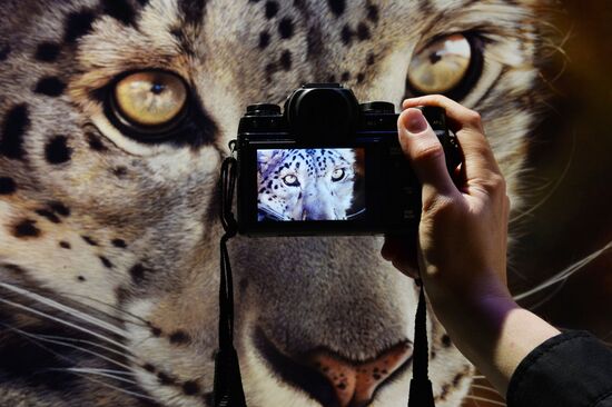 Wild Perspective exhibition unveiled