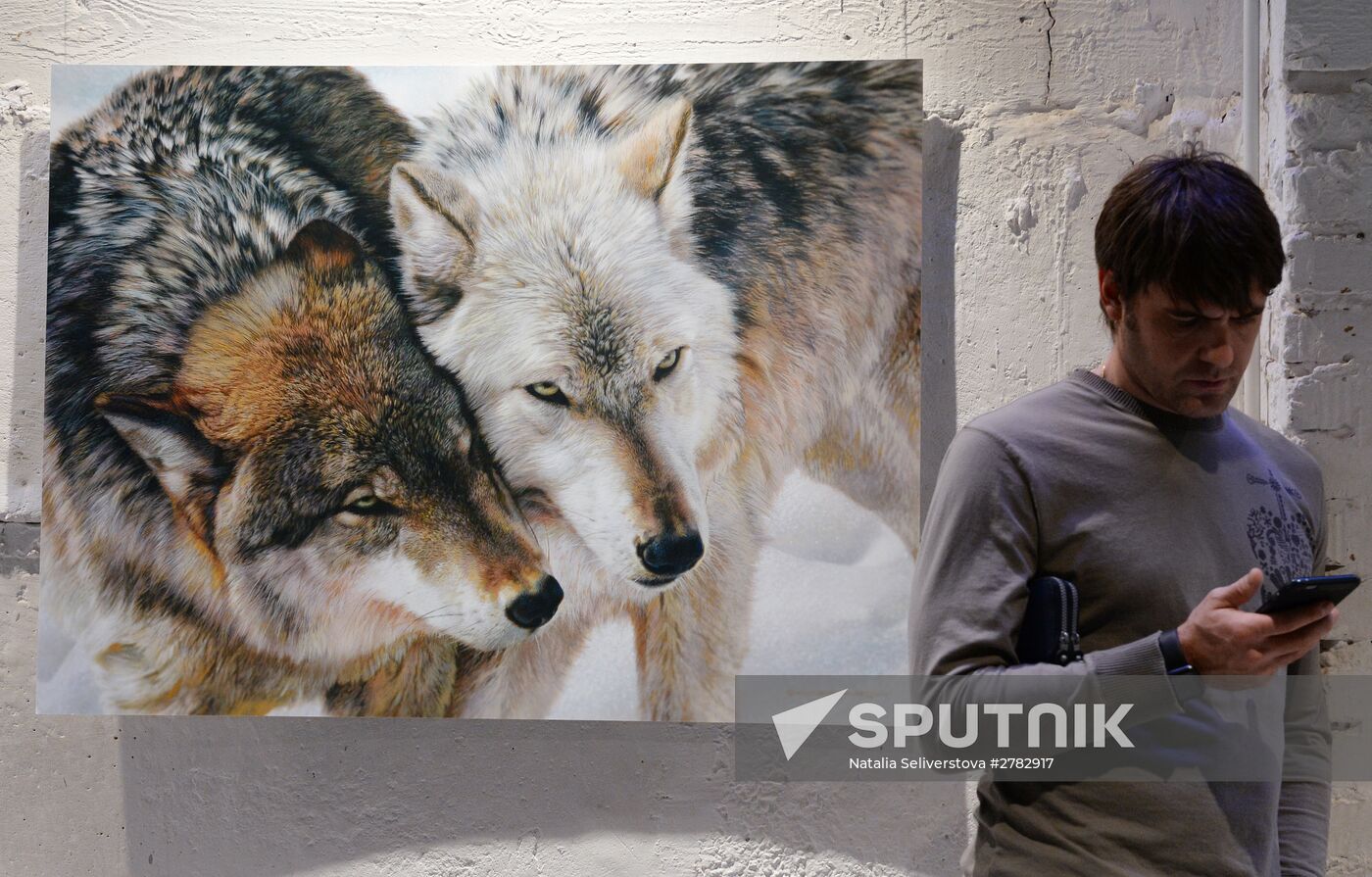 Wild Perspective exhibition unveiled