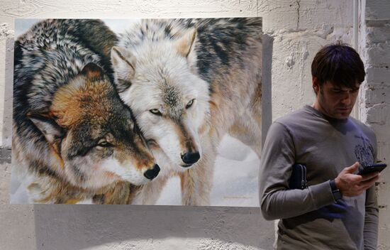 Wild Perspective exhibition unveiled