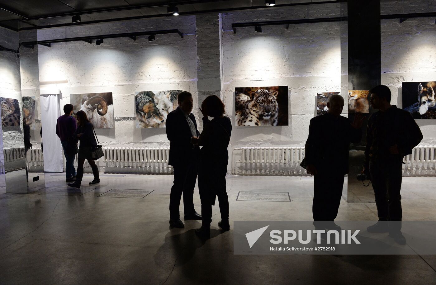 Wild Perspective exhibition unveiled