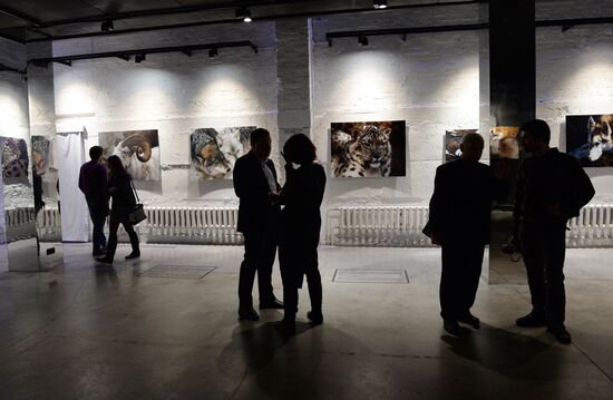 Wild Perspective exhibition unveiled