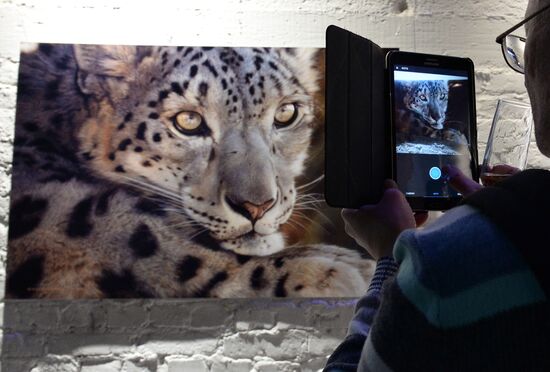 Wild Perspective exhibition unveiled