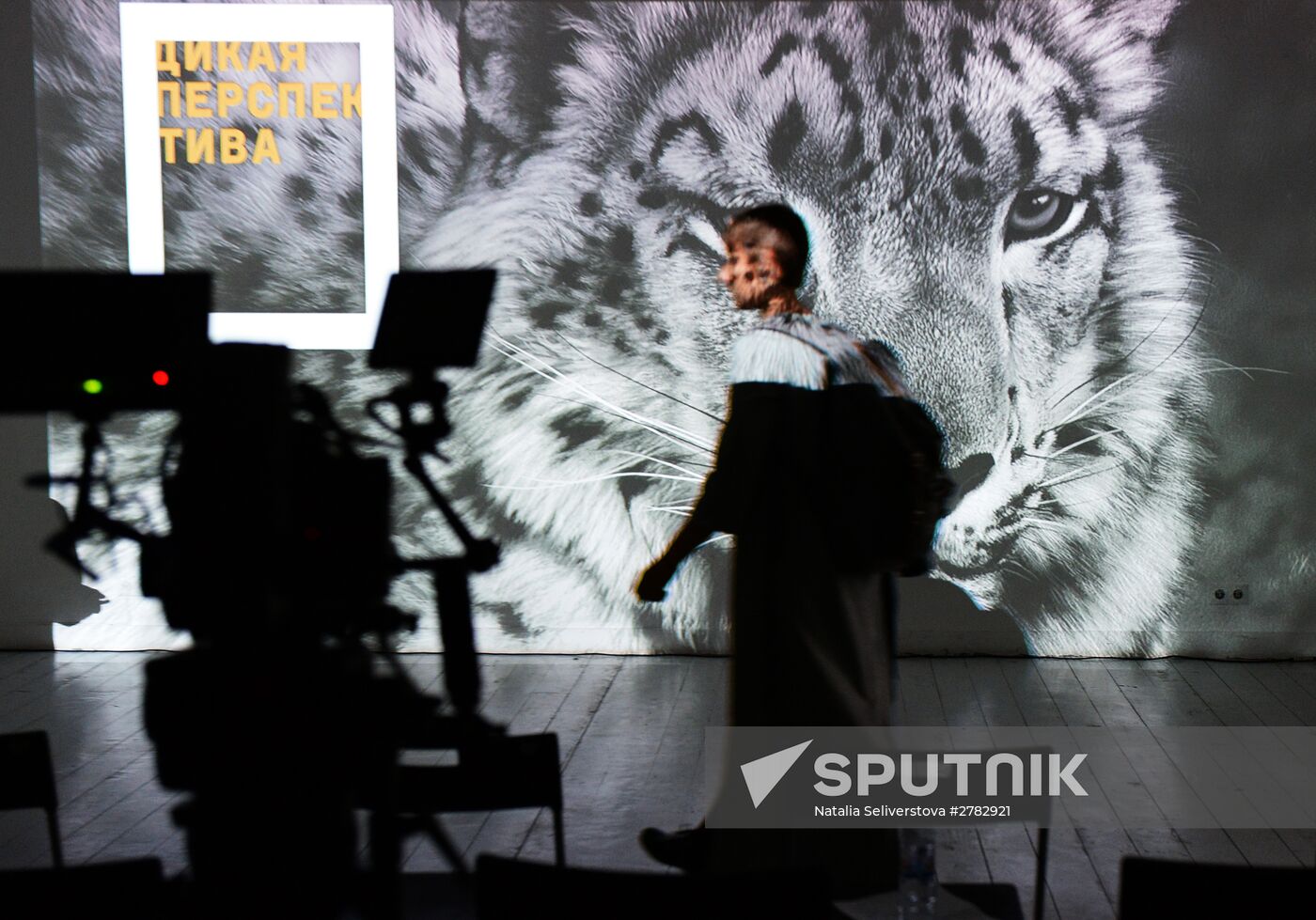 Wild Perspective exhibition unveiled
