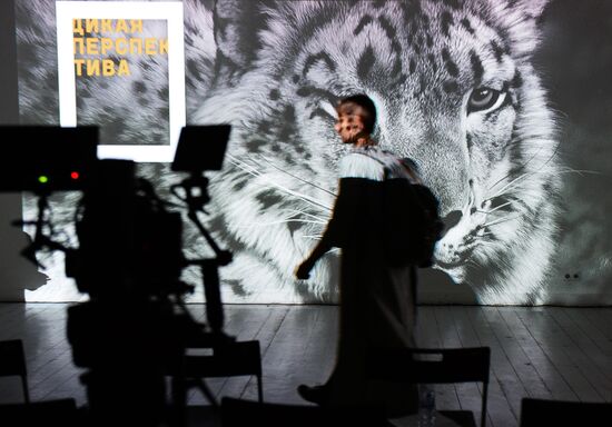 Wild Perspective exhibition unveiled